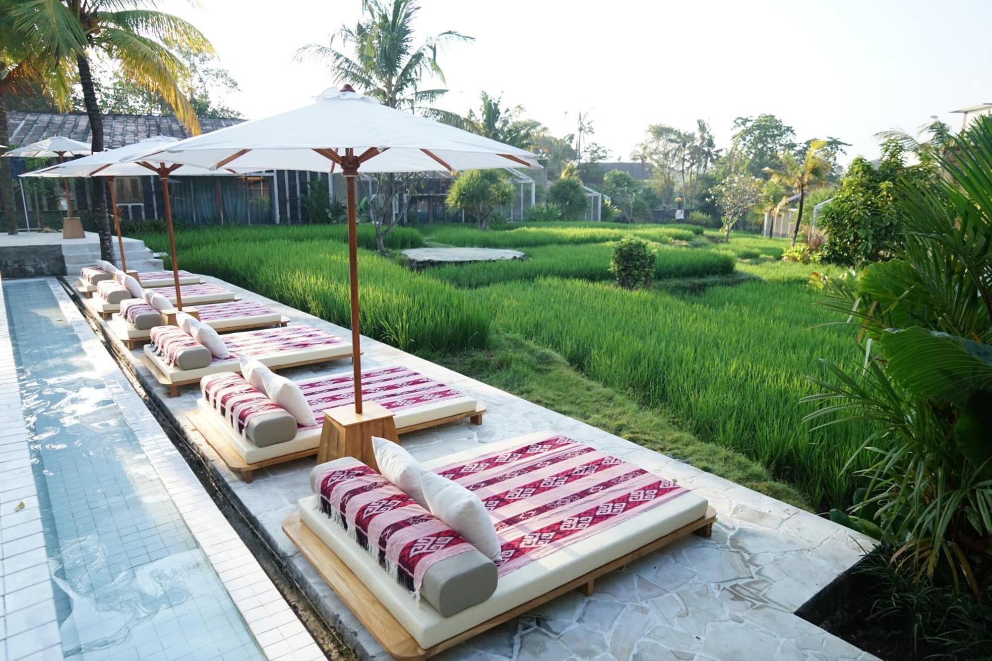 Vakantiepark Shore Amora