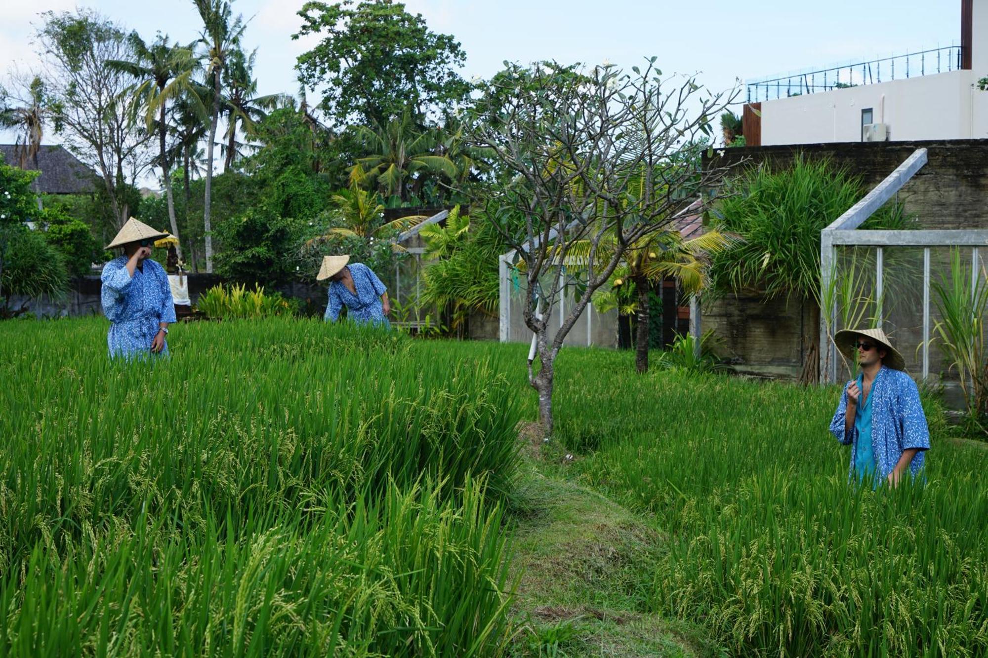 Shore Amora Vakantiepark